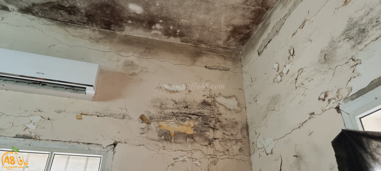 WhatsApp Image 2021-04-21 at 5.17.17 PM (1).jpg